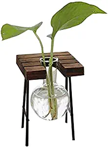 Kingbuy Hydroponic Desktop Glass Flower Pot Bulb Vase with Retro Solid Wood Stand Small Bench Frame for Hydroponic Plant Family Garden Wedding Decoration（1 Bulb Vase）