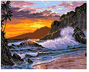 Acrylic Paint by Number Kits for Adults Beginner by TOCARE,Sea Wave Pattern 16x20inch