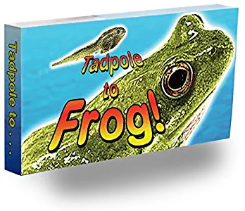 Fliptomania Tadpole to Frog Animation Flipbook