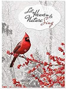 Religious Christmas Card 9 Pack ~ Winterberry Cardinal, Let Heaven and Nature Sing (5" x 7"; White Envelopes; 9-1)