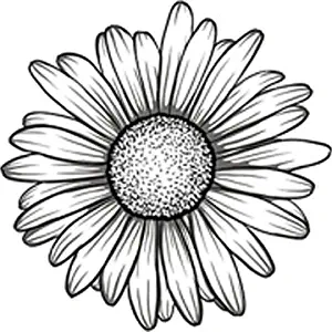 Divine Designs Black and White Gerbera Gerber Daisy Flower Vinyl Decal Sticker (4" Wide)